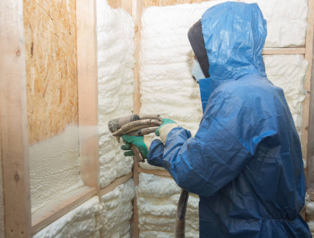 Types of Insulation We Offer in Dadeville, AL